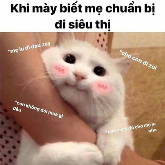 meme hồi nhỏ lúc nào cũng rình mẹ đi chợ :>