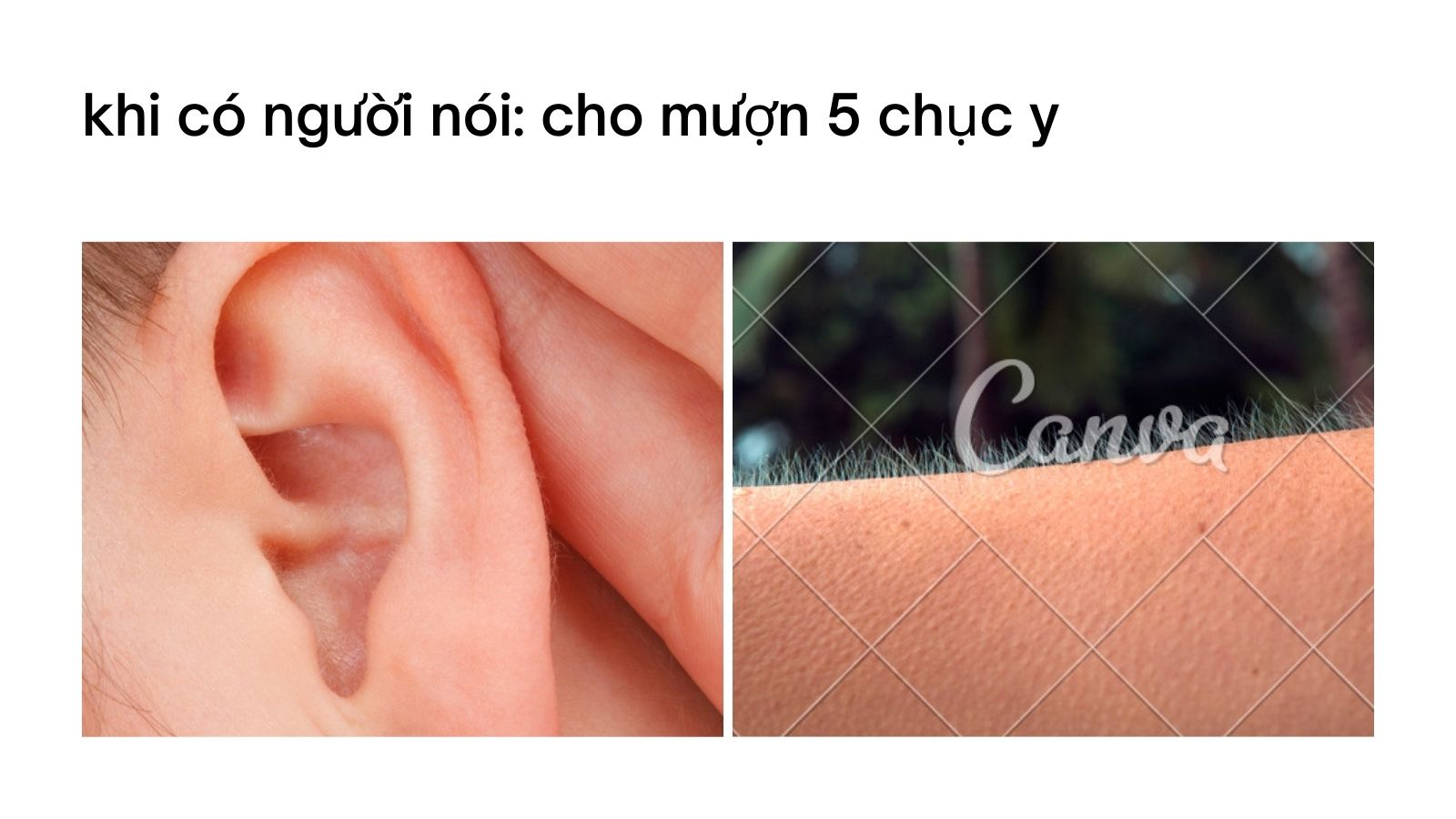 meme bạn nói gì vậy?