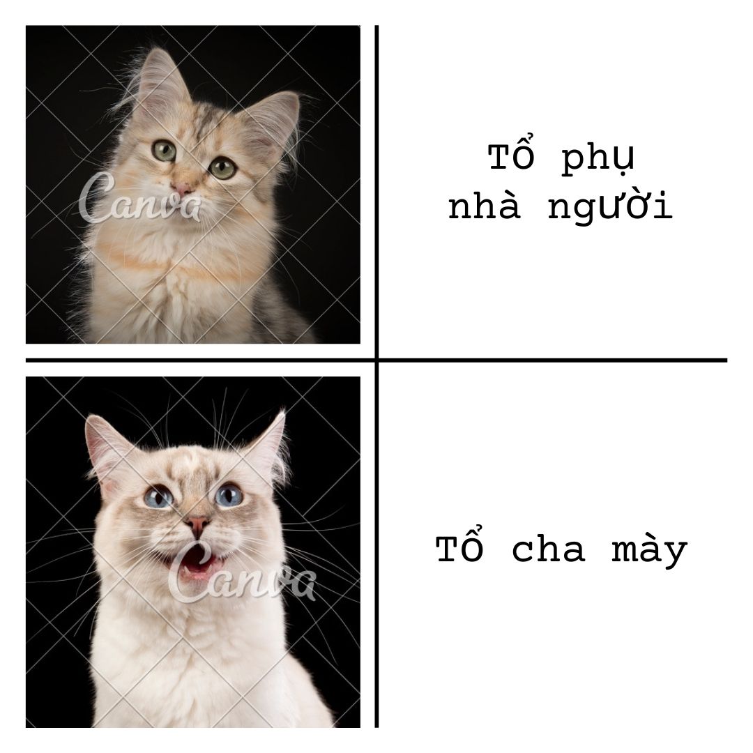 meme khi tui vietsub phim tàu