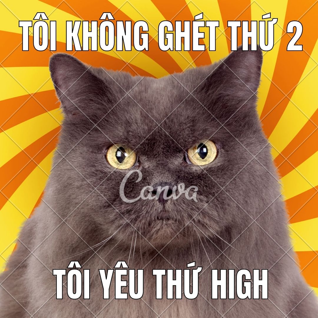 meme hôm nay là thứ mấy?  chắc chắn là thứ high