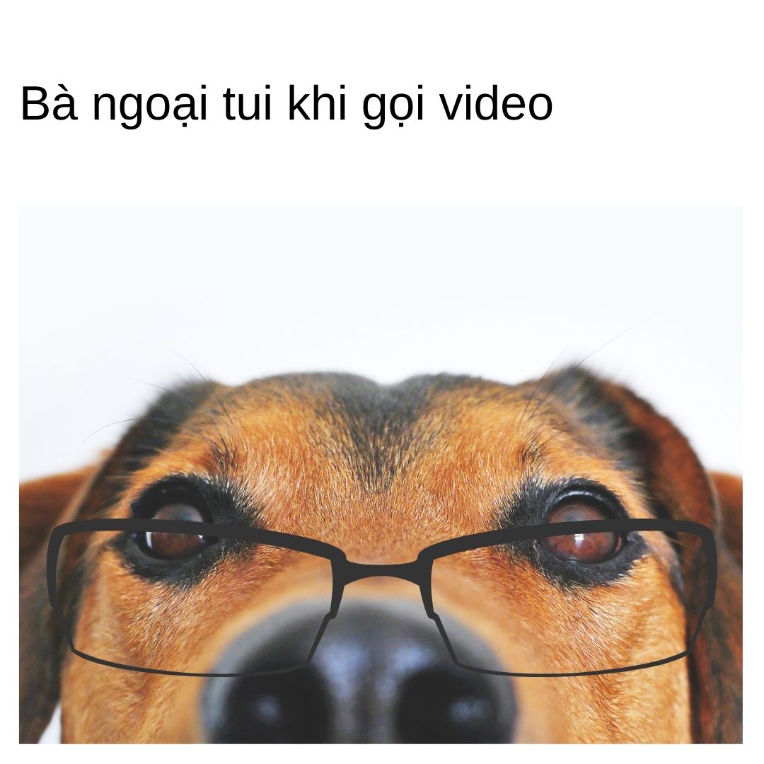 meme bà ngoại video call