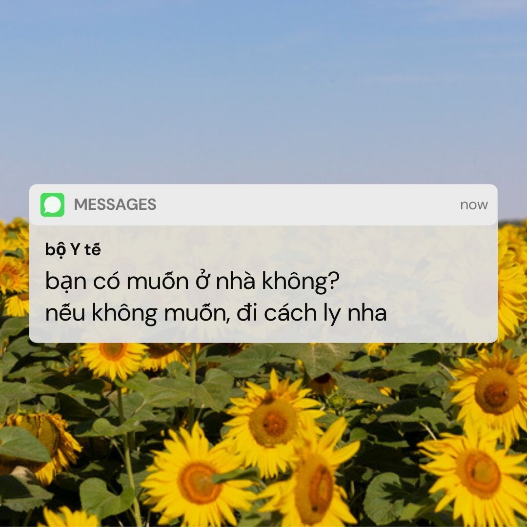 meme lại có tin nhắn