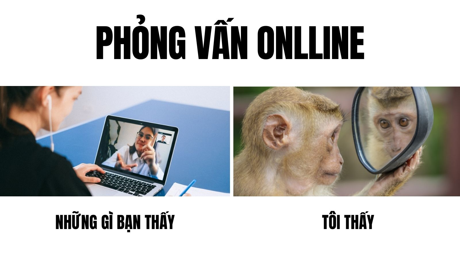 meme khác nhau ở cách nhìn