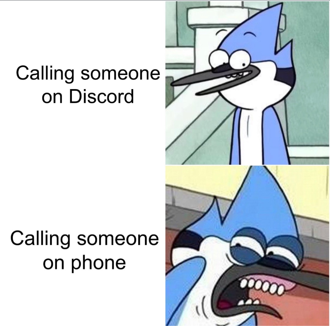 meme #calling on phone vs calling on discord
