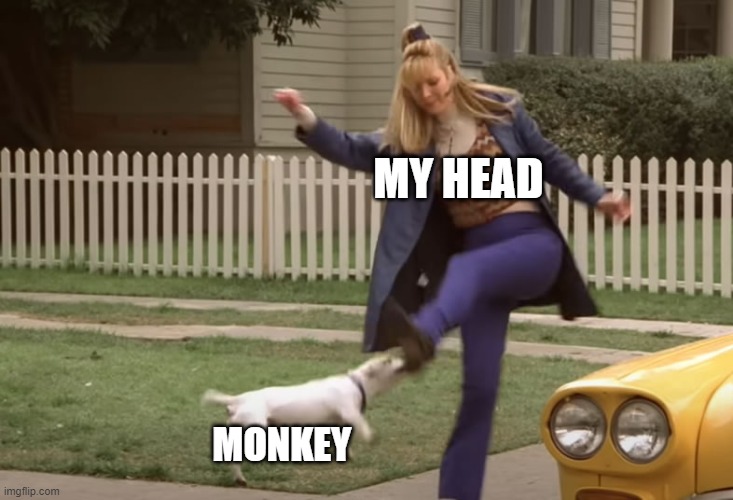 meme When I try to get rid of the monkey controlling my head ...