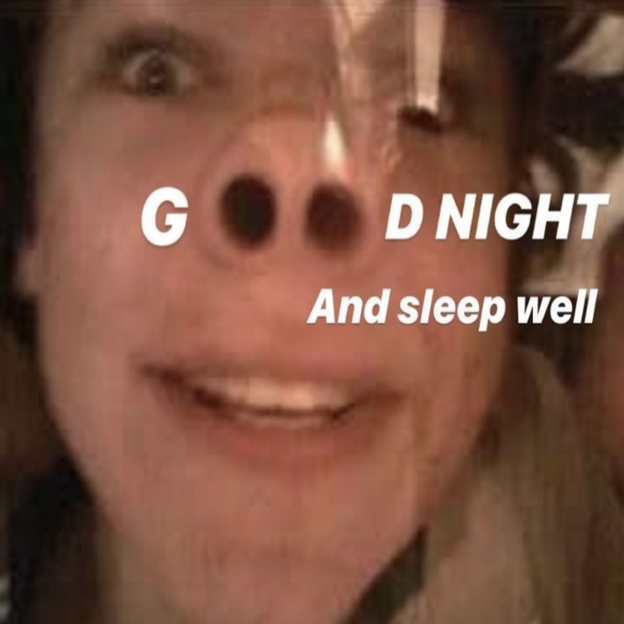 meme G🐽d night and sleep well