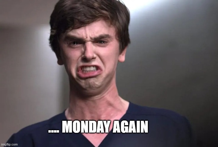 meme Every single Monday
