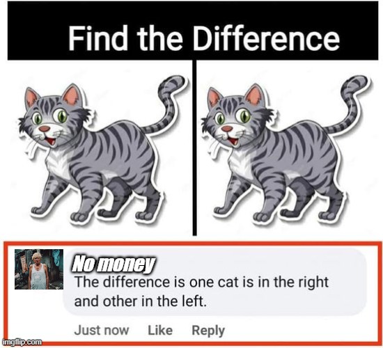 meme That is the difference 