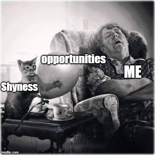 meme shyness kills opportunities 