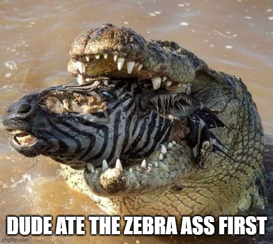 meme Zebra looks like he's about to take a shit ...