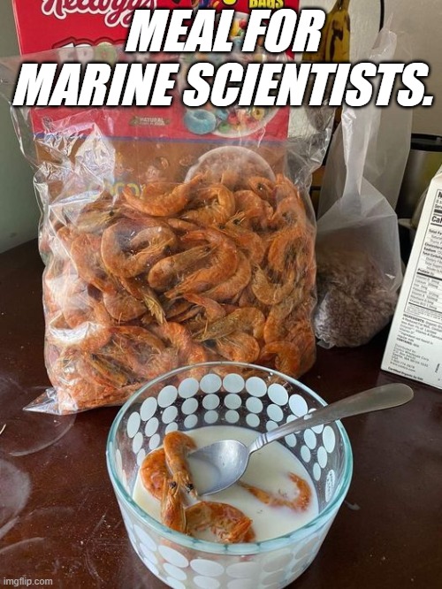 meme when you are a marine scientist 