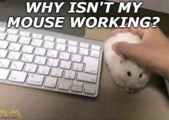 Wrong mouse bro 🤦‍♂️