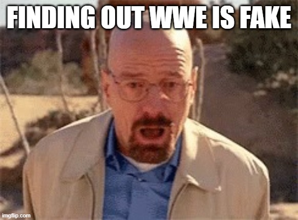 meme when you find out wwe is fake
