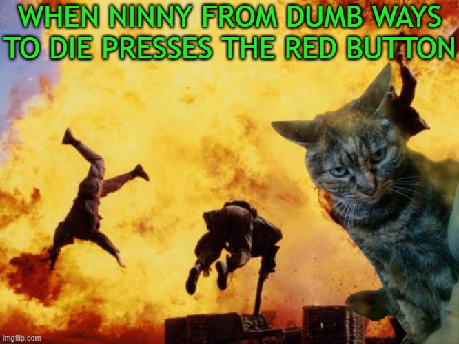 meme NINNY FROM DUMB WAYS 