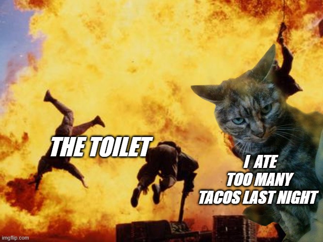 meme when you eat more than 1 taco 