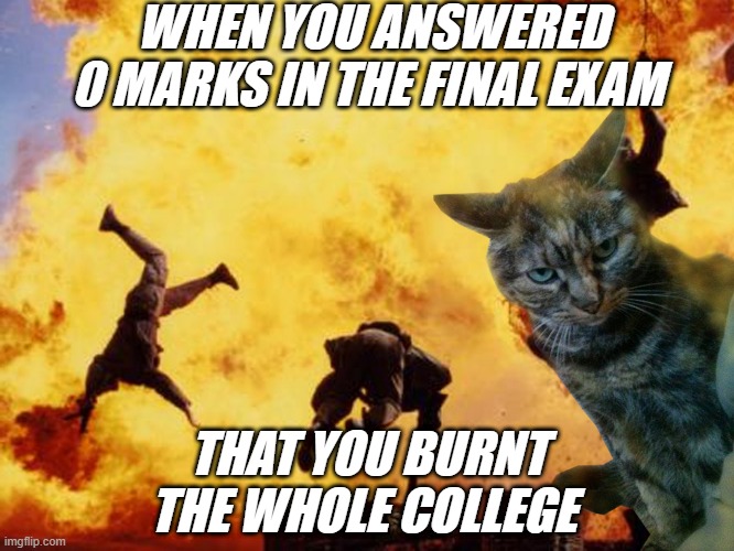 meme No college no results 