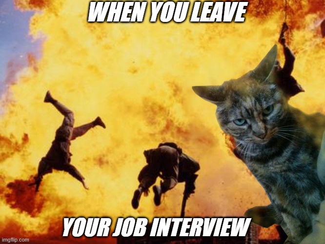 meme with no chance of getting the job 