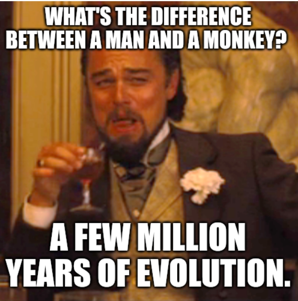 meme Different between a man and a monkey 