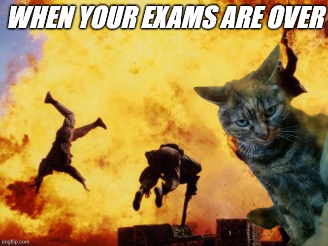meme  EXAMS ARE OVER 