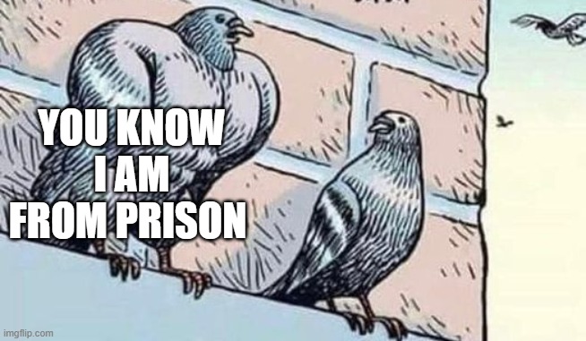 meme pigeon from prison
