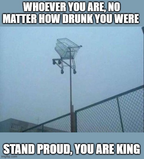 meme STAND PROUD, YOU ARE KING