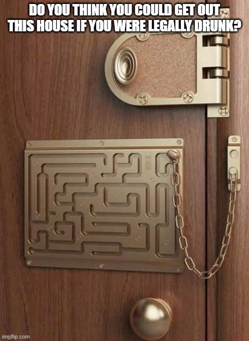 ‎You will never leave the house drunk again...