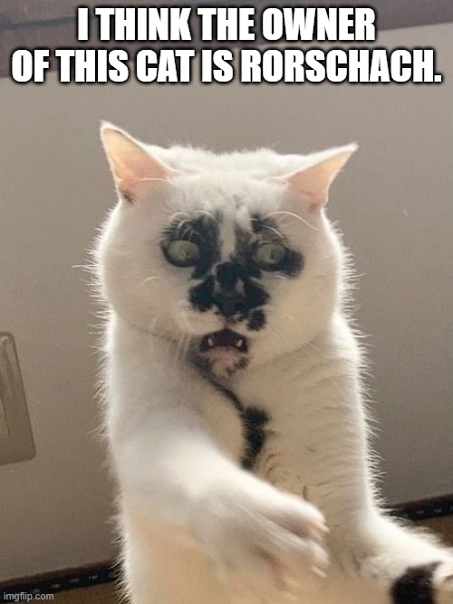 meme  Rorschach's cat