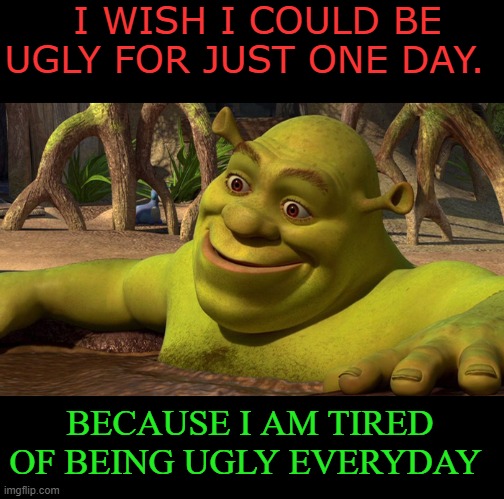 meme Regular everyday ugly guy 