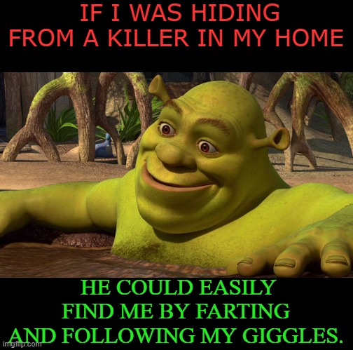 meme Home alone 