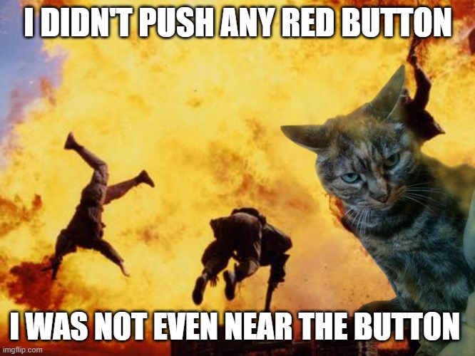meme Don't blame the cat 