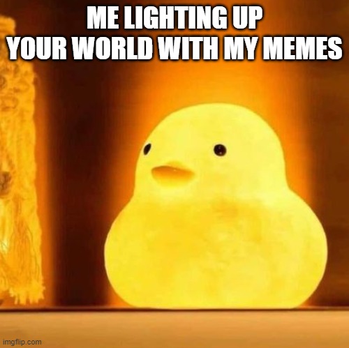 meme lighting up your world with my memes