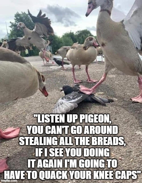 meme pigeon in trouble 