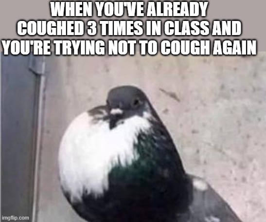 meme  trying not to cough again