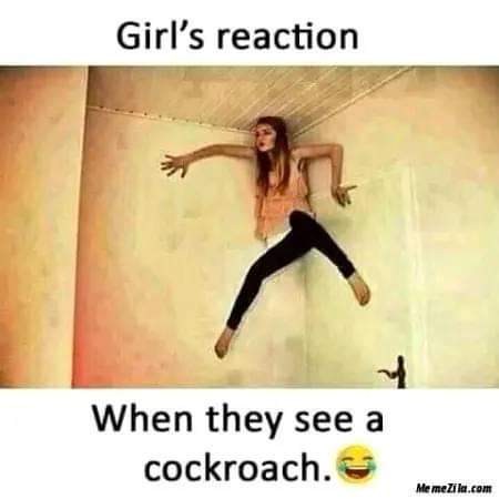 meme Girl funny Reaction 