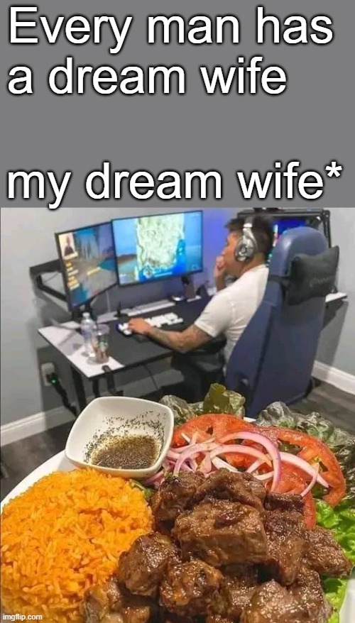 meme Gamer's dream wife 