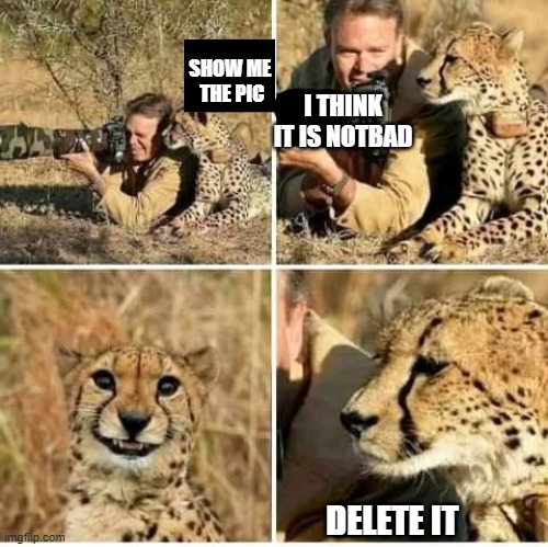 meme Cheetah want to see his pic 