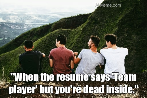 meme When the resume says Team player' but you're dead inside