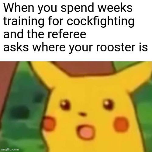 meme Rooster? 