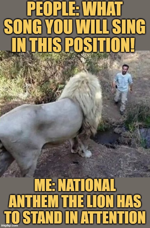 meme Lion vs me 