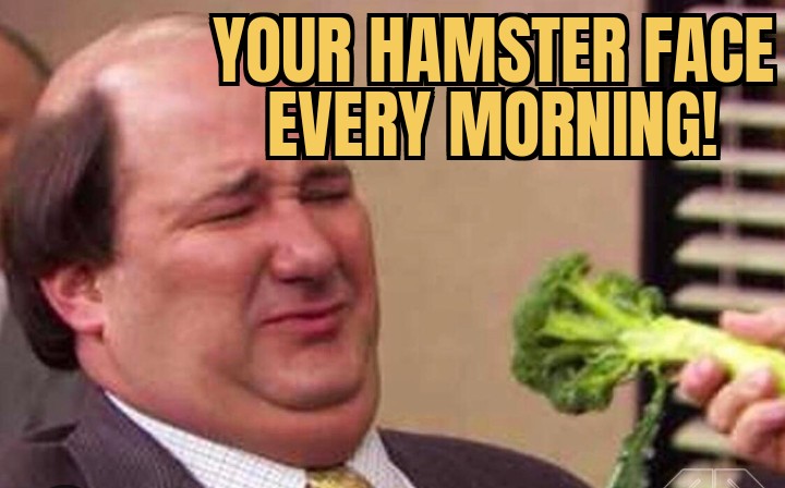 meme My hamster! 😅