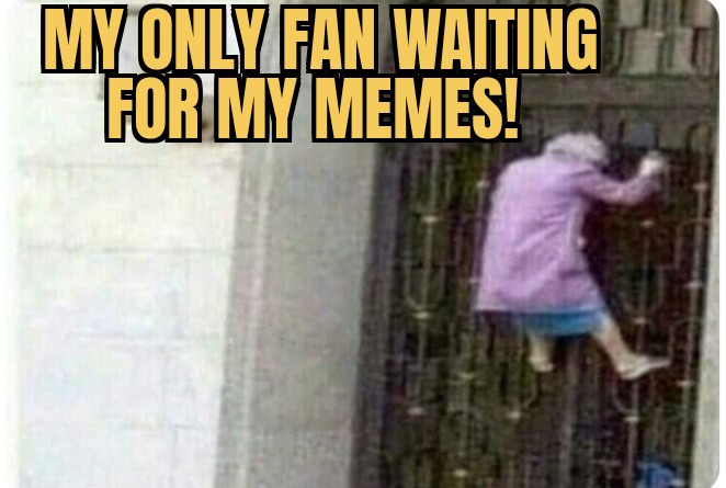 meme Fans! 😄