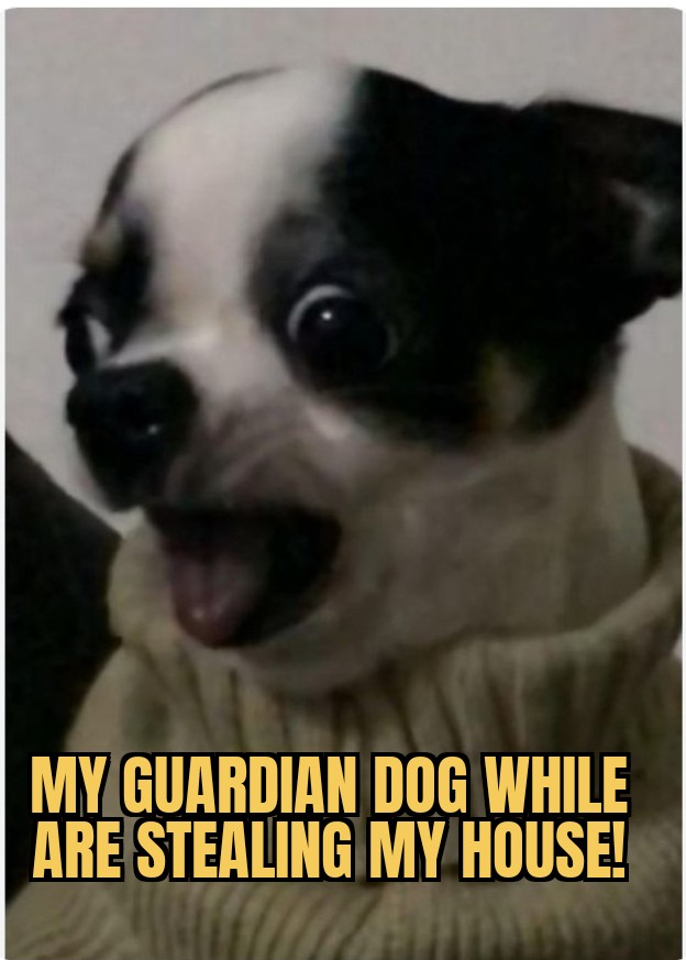 meme Guardian dogs! 😅