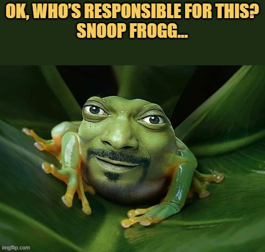 meme snoop frogg