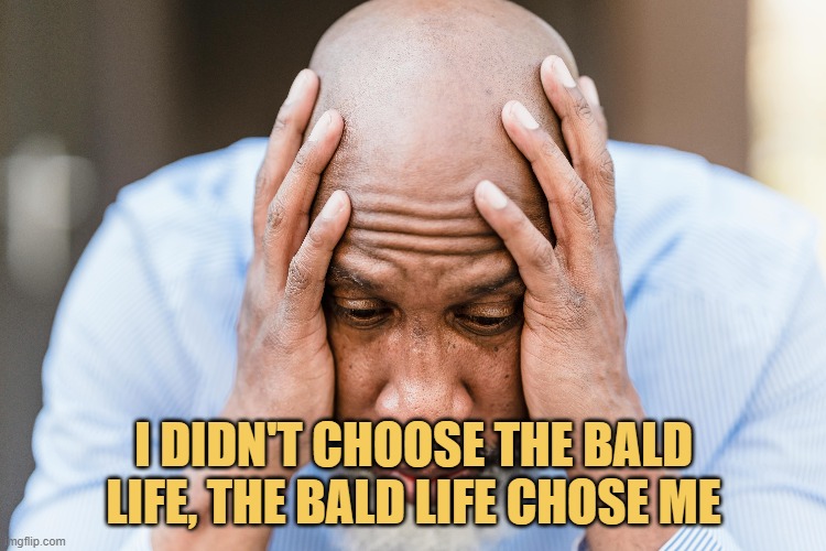 meme I didn't choose the bald life, the bald life chose me.