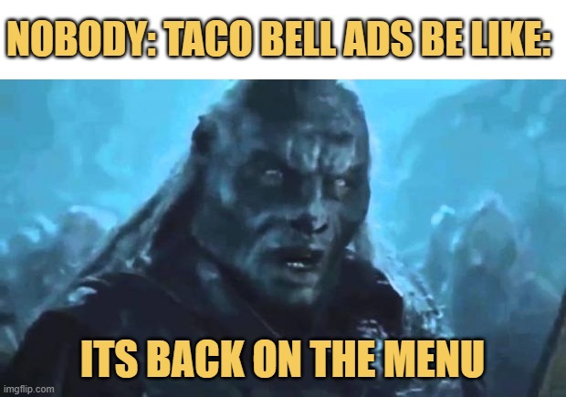 meme TACO