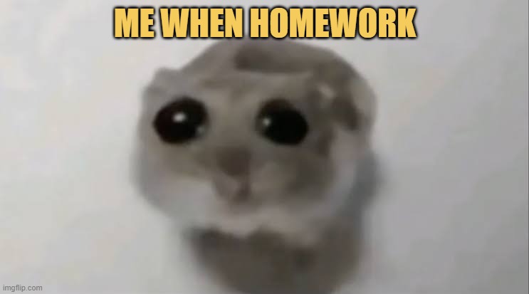 HOMEWORK