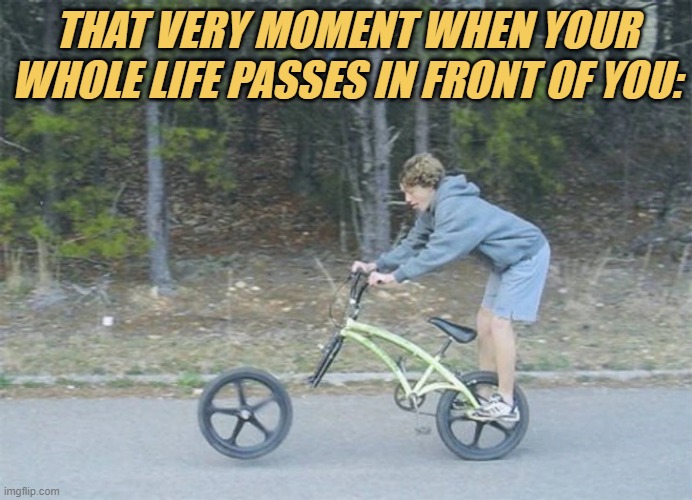 meme  life passes in front of you: