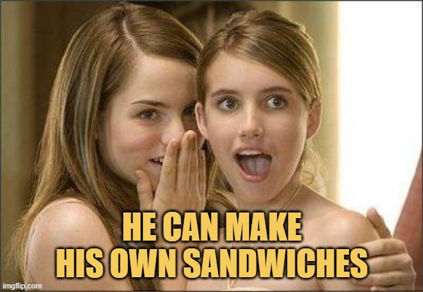 meme Do you even know how to make a sandwich?