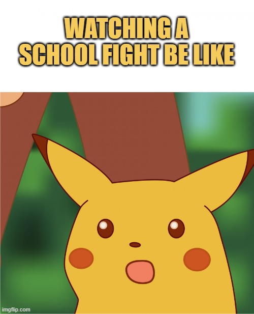 meme ME WATCHING A SCHOOLE FIGHT BE LIKE