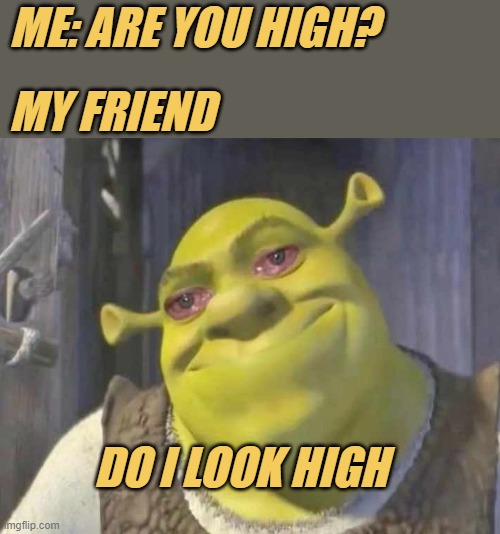 meme Bro was not high 